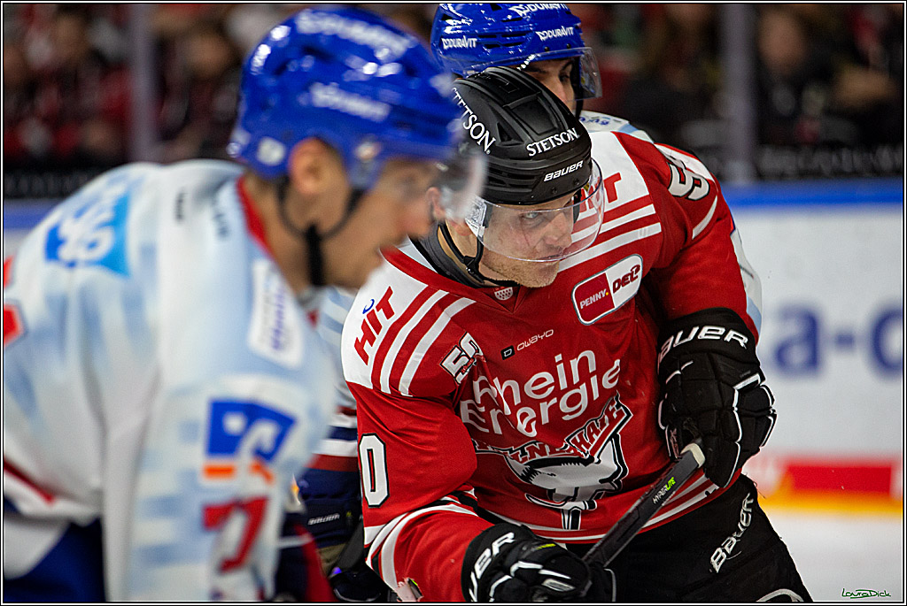 PENNY DEL; Koelner Haie- Adler Mannheim; Koeln, 04.11.2022